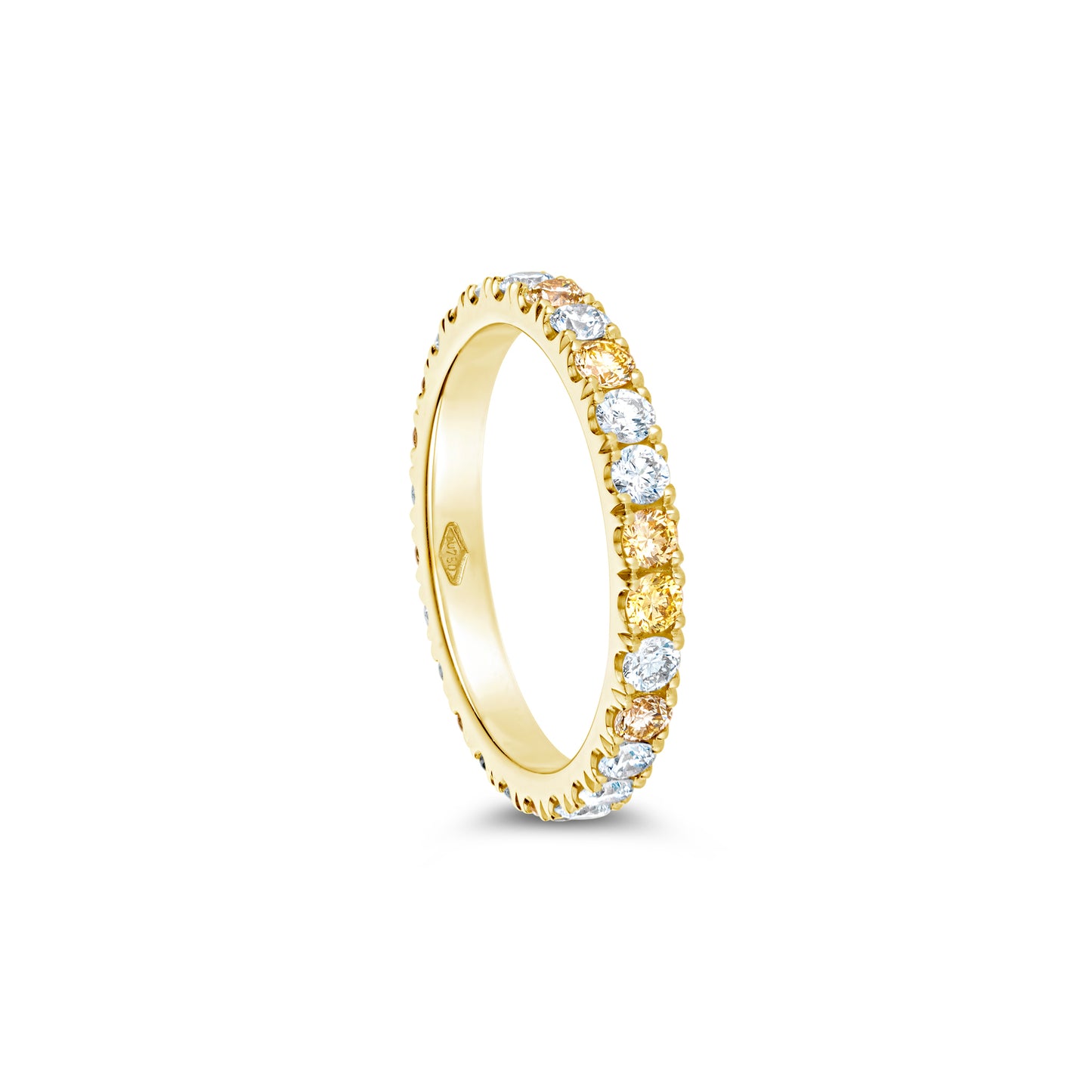 White & Fancy Yellow Alliance Large