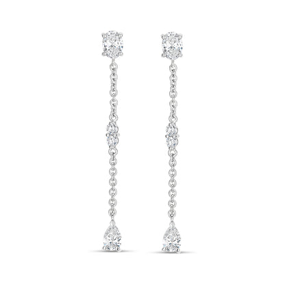 Double Shape Pendant Earrings