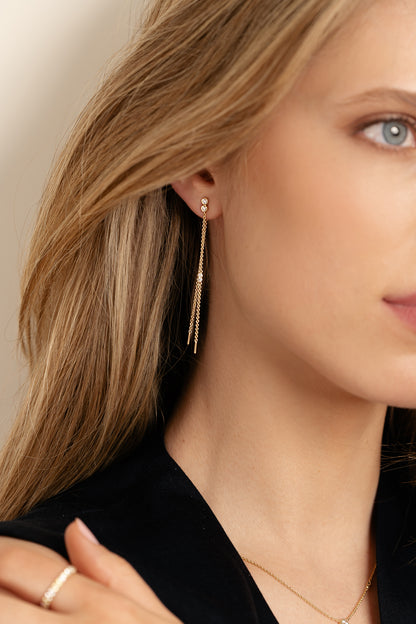 Classics Delicate Pendant Earrings