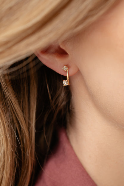 Brownish Double Earrings
